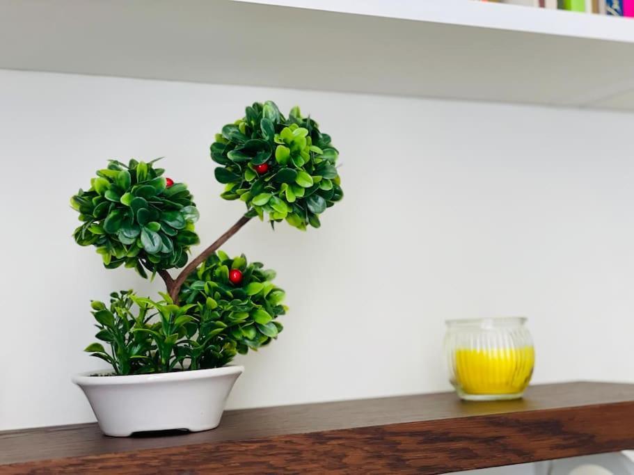 Positano Apartment Varna Ngoại thất bức ảnh