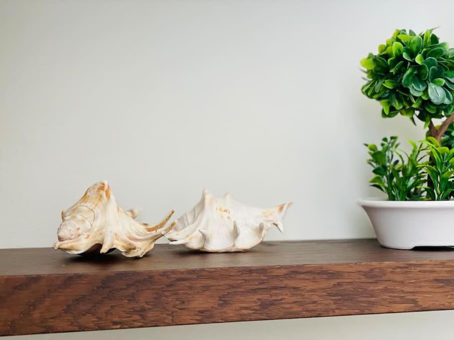 Positano Apartment Varna Ngoại thất bức ảnh